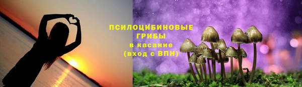 прущий лед Болхов