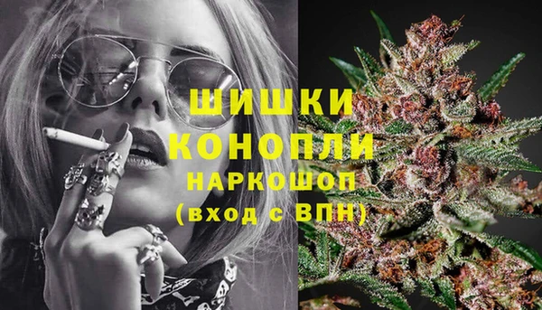 PSILOCYBIN Нефтекумск