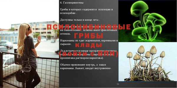 ГАЛЛЮЦИНОГЕННЫЕ ГРИБЫ Нефтегорск