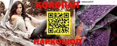 каннабис Гай