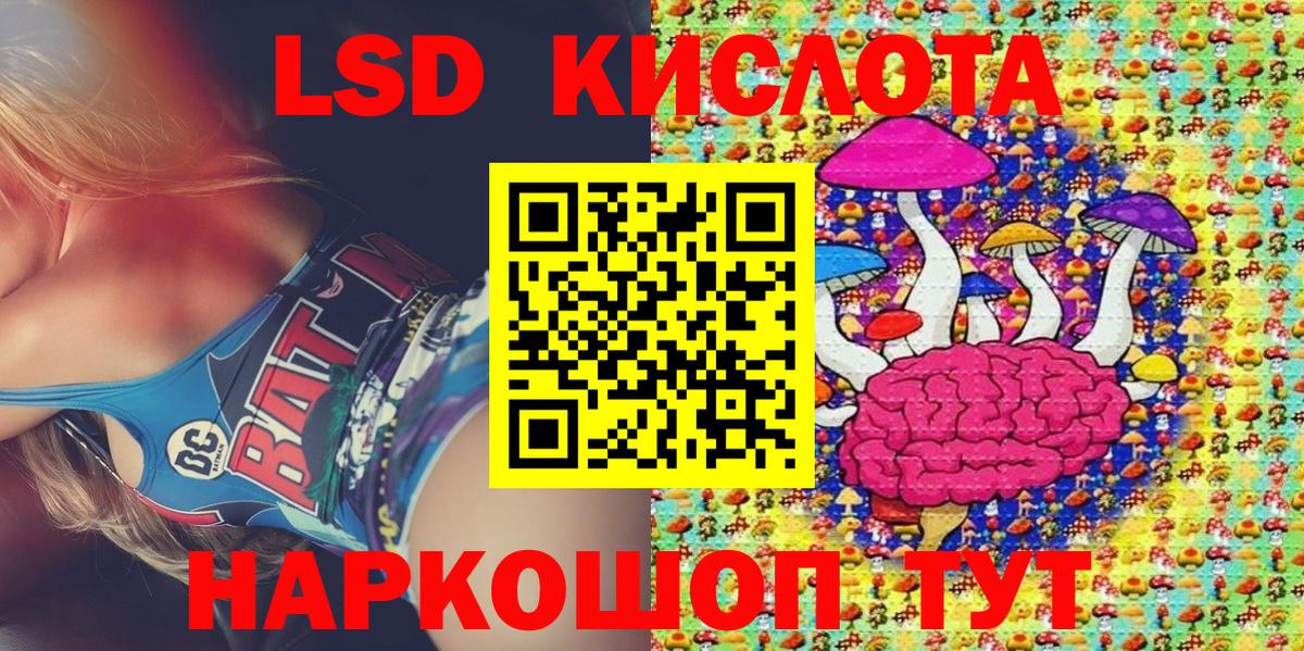 ГАШ Новороссийск