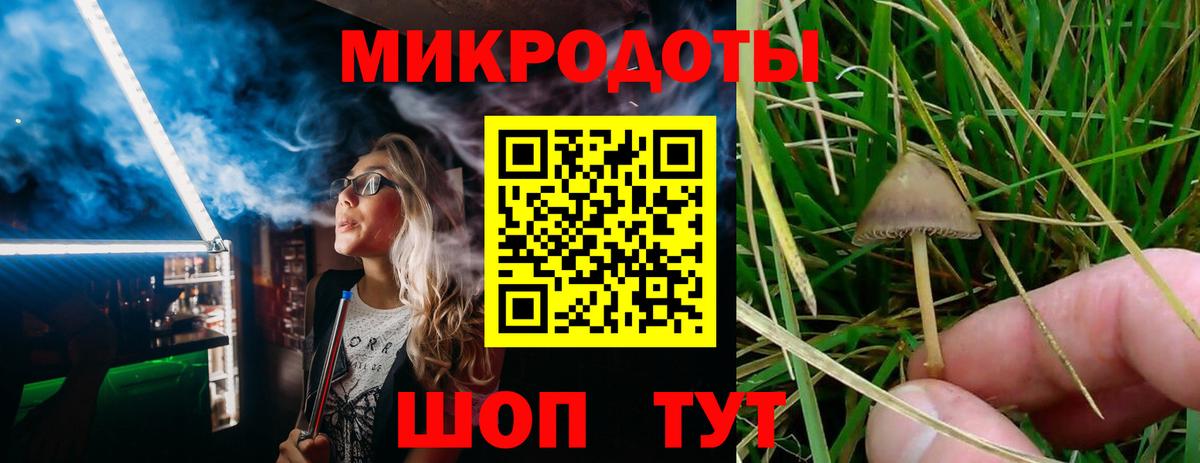 Псилоцибиновые грибы Cubensis Новороссийск