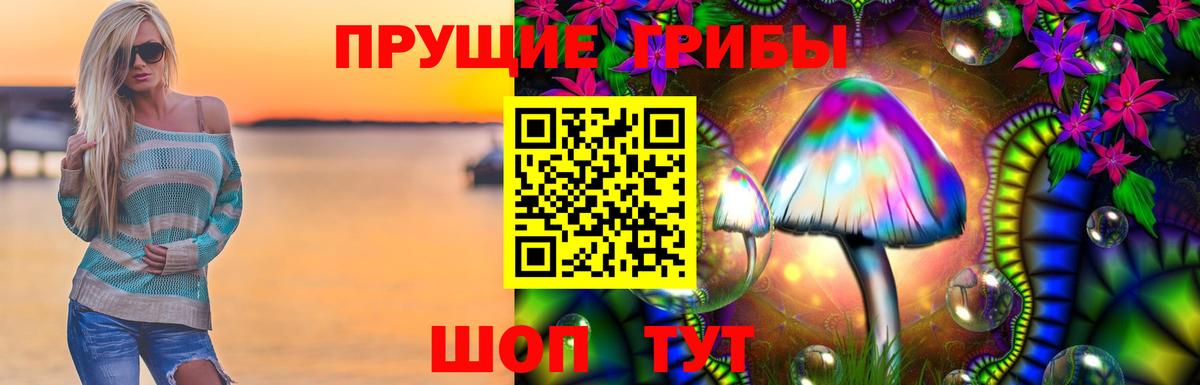 Галлюциногенные грибы ЛСД  Новороссийск 