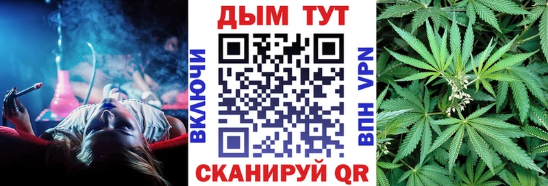 Канабис Bruce Banner  где продают   Новороссийск 