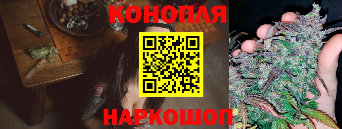 Шишки марихуана план Новороссийск